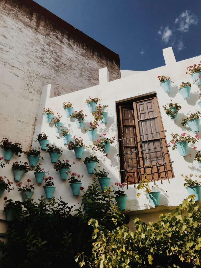 Casa decorada con macetas azules calle de córdoba